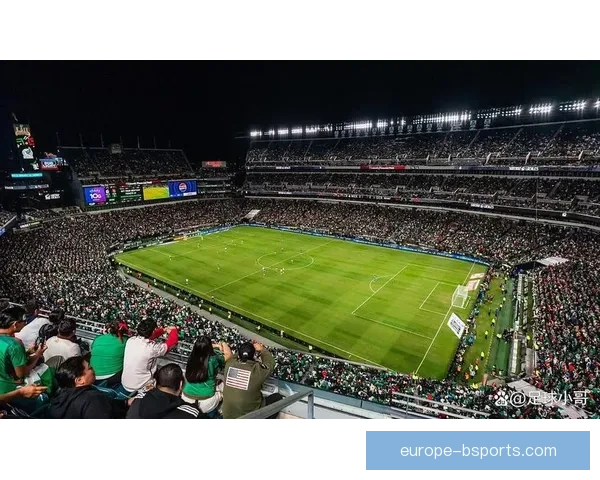 多伦多世界杯赛区增设一万七千临时座位确保最低观赛容量